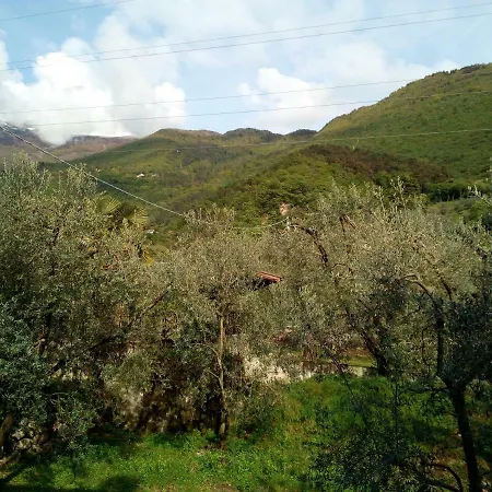 B&B Agli Ulivi Arco Exterior photo