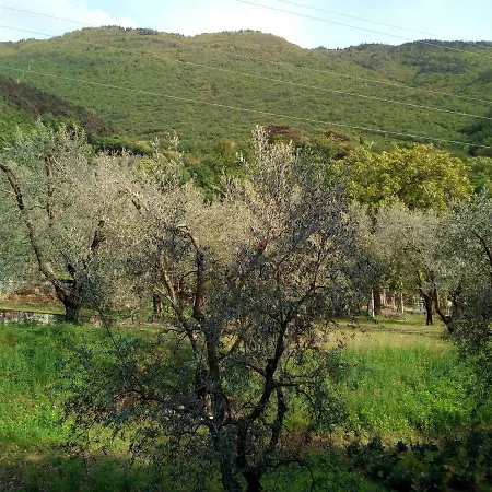 B&B Agli Ulivi Arco Exterior photo