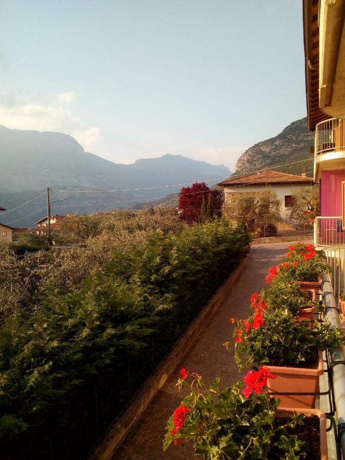 Bed & Breakfast Agli Ulivi *