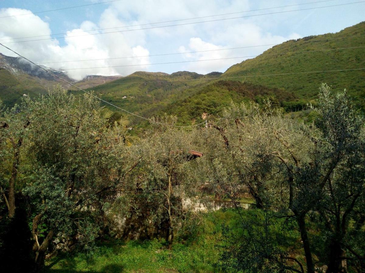 Bed & Breakfast Agli Ulivi Arco