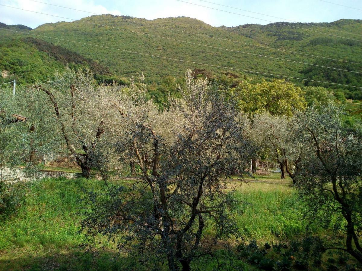Bed & Breakfast Agli Ulivi *