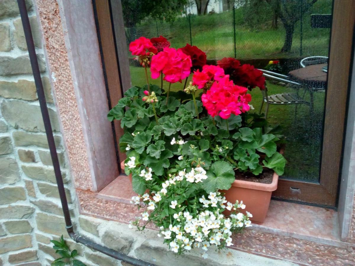 Agli Ulivi Bed & Breakfast *