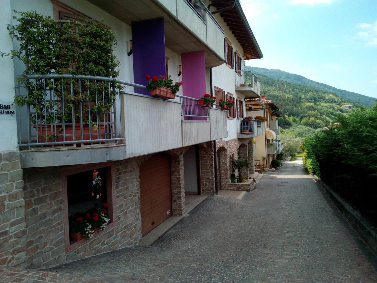 Agli Ulivi *